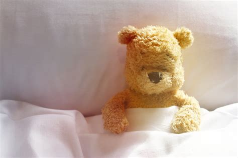 Today is Winnie the Pooh Day and a Great Day to Learn How to Clean ...