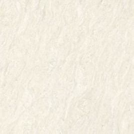 SIMBA WHITE (SIMBA WHITE)