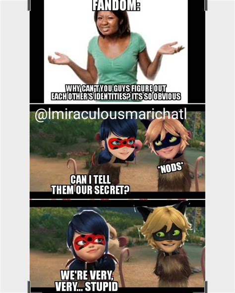 @lmiraculousmarichatl on Instagram #miraculous #chatnoir #ladybug # ...