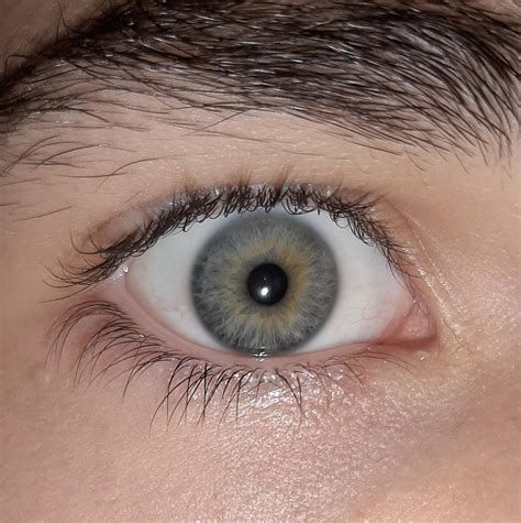 What Color Are My Eyes