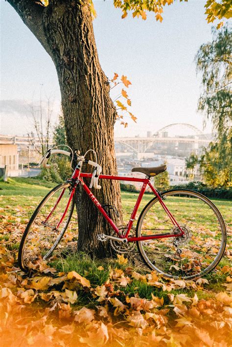 25+ FASCINATING Facts About Oregon State (You May Not Know)