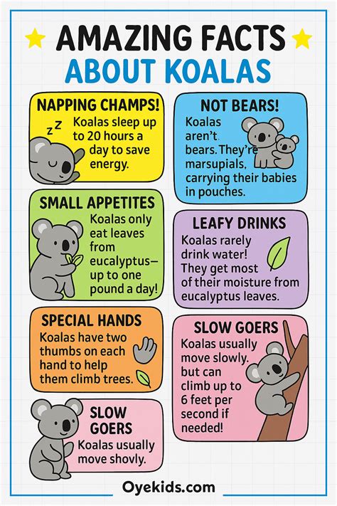Amazing Koala Facts for Kids – Sleepy Tree Huggers! in 2025 | Animal ...