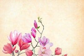 Image result for Russian Academic Transcript Example