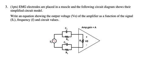 Image result for Muscle EMG Circuit Design
