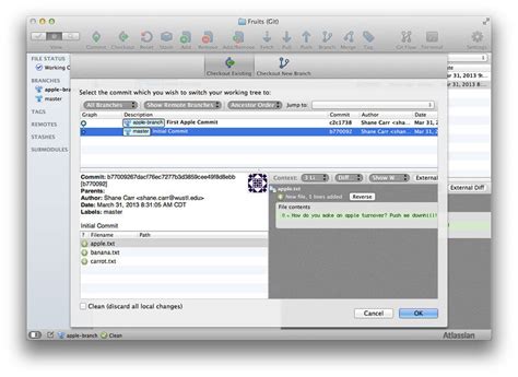 Image result for Source Tree Check Out