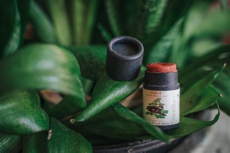 Image result for DIY Zero Waste Makeup