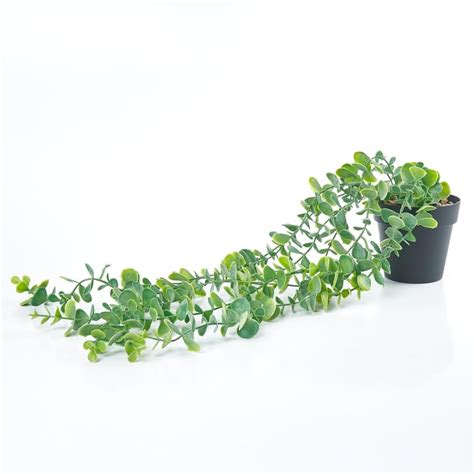 Buy Gloria Artificial Creepers in Pot from Home Centre at just INR 399.0