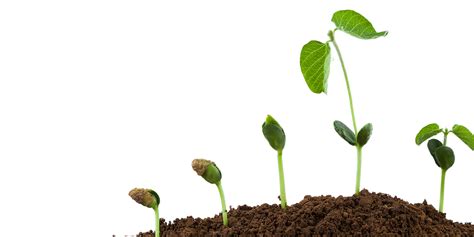 What is .bank.in Domain? RBI’s Step Toward Safer Digital Banking | Bank ...