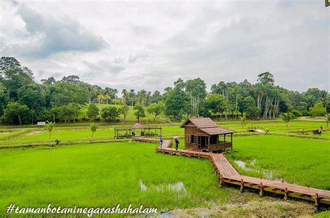 TAMAN BOTANI NEGARA SHAH ALAM Guide (2026) All You Need to Know BEFORE ...