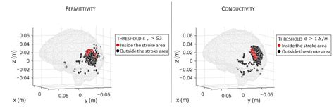 A Novel Discretization Procedure in the CSI-FEM Algorithm for Brain ...
