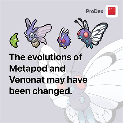 Venonat Evolution