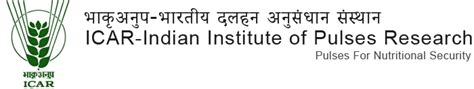Indian Institute of Pulses Research