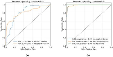 Optimal Skin Cancer Detection Model Using Transfer Learning and Dynamic ...