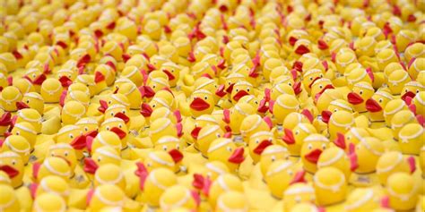 RVA Duck Race: Enter for your chance to win $10,000