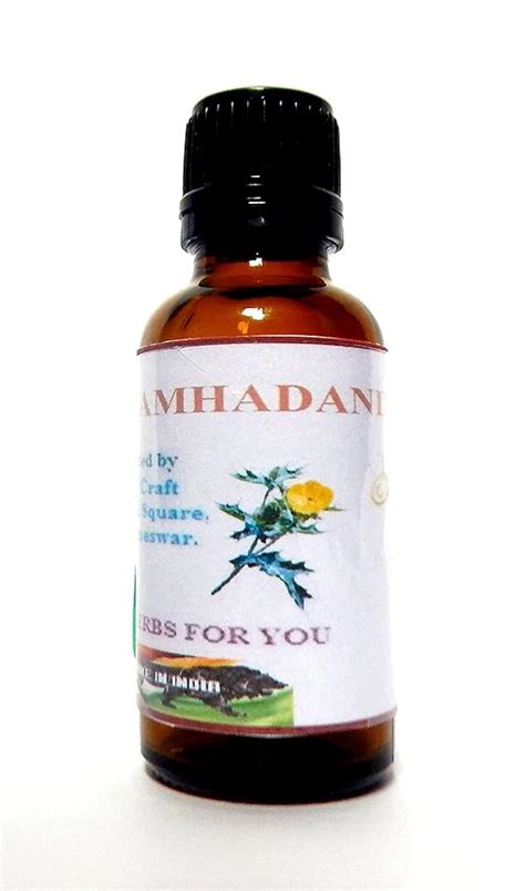 Xetomos Brahmadandi Tricholepis Glaberrima Essential Oil 30g : Amazon ...