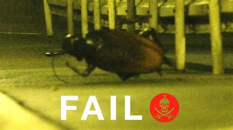 Image result for Prank Fails