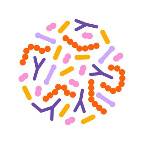 Gut-Skin Connection: Boost Your Glow with Gut Health