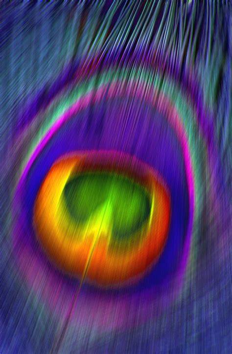 Peacock Feather Colorful Colors Free Stock Photo - Public Domain Pictures