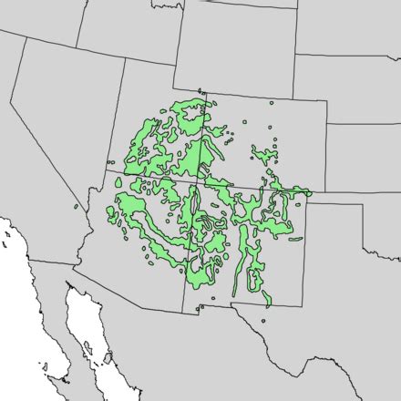 Image result for pine code map