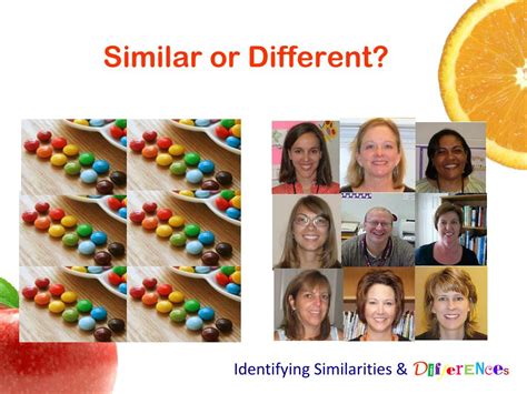 Similarities And Differences Similar or Different? Identifying Similarities