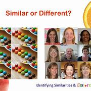 Image result for Similarities