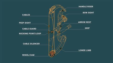 Recurve Bow Anatomy