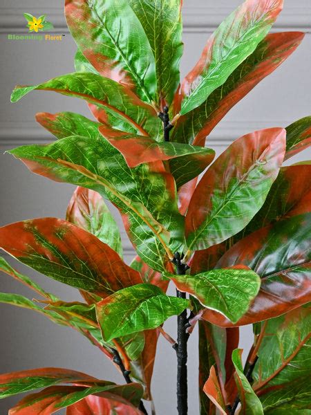 Artificial Croton Plant – 65 cm, 30 Leaves, with Basic Pot – Blooming ...