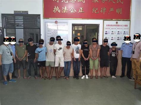 48人被抓！海南警方破获“2020-336”公安部毒品目标案件|广东|三亚|海南_新浪新闻