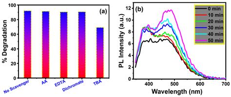 Hydrothermal Synthesis, Characterization and Exploration of ...