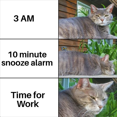 The best Snooze memes :) Memedroid