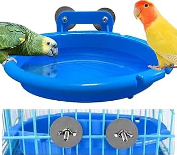 Bird Bath Bowl Budgie Bath With Perches Small Bird Bath For Cage With ...