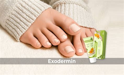 Image result for Comment Utiliser Exodermin