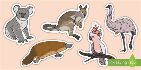 Bedroom Decorations Australian Animals (teacher made)