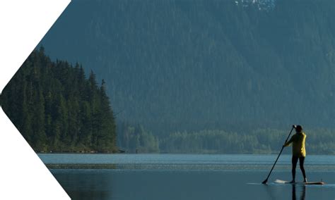 Credit Card Payoff Calculator - Citibank