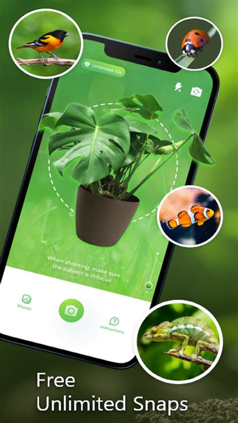 Edible Plant Identification App 的图像结果