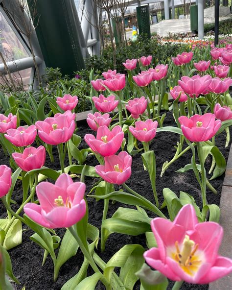 Miracle of Natural - ตำรวจท่องเที่ยวระยอง