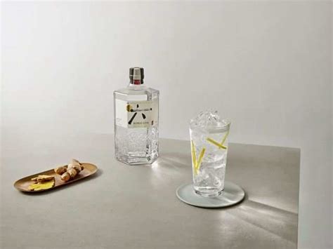 Negroni With Roku Gin - World Gin Day: Yummy Cocktails With Juicy Twist ...