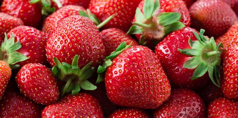 La dieta baja en FODMAP y el gluten - Amy Burkhart, MD, RD