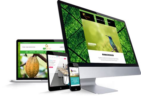 PÁGINAS WEB – Rale