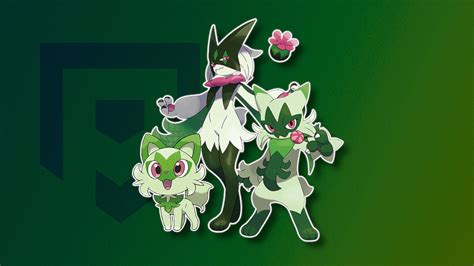 Fully Evolved Starter Pokemon