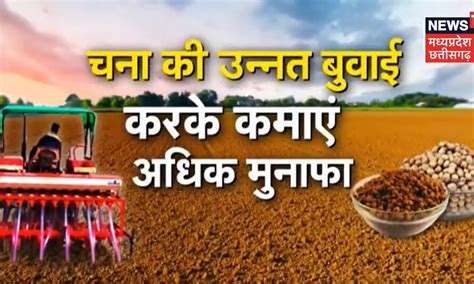 Annadata | जानिए चना की फसल को कीटों से बचाने के उपाय | Chana Ki Kheti ...