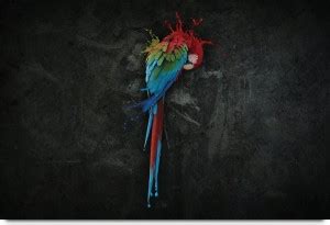 The Colorful Parrot Paper Print - Nature posters in India - Buy art ...