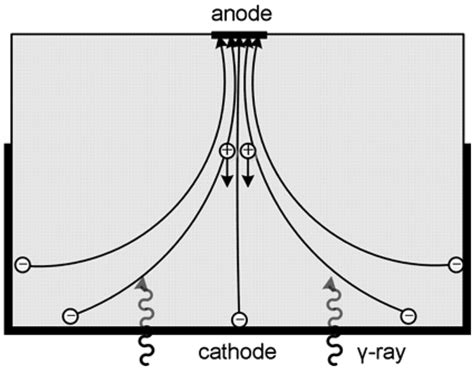 Progress in the Development of CdZnTe Unipolar Detectors for Different ...