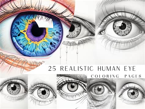 25 Realistic Human Eye Coloring Pages Adult and Kids Coloring Book ...