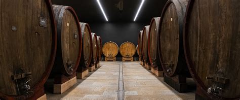 Cantina Nervi - Ekinex