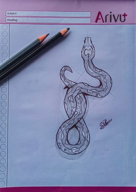 Python Drawing 的图像结果