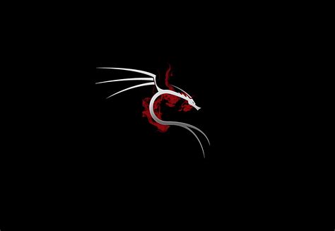 Image result for Kali Linux X Windows Background