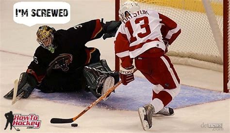 Image result for Datsyuk Deke