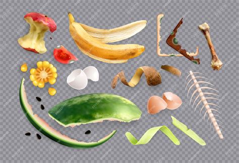 Food Waste Transparent Background 的图像结果