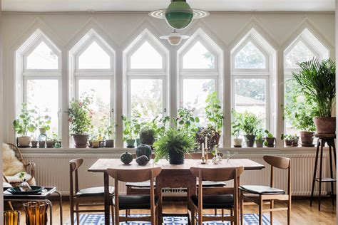 How to Take Care of Your Indoor Plants